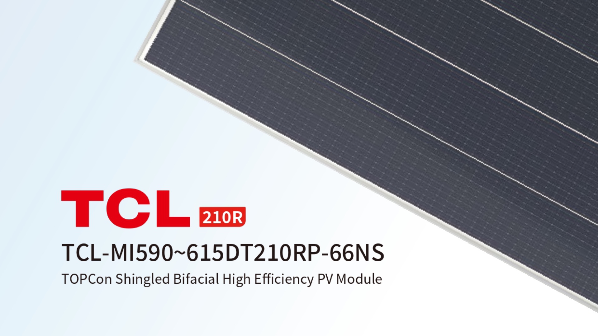 TCL-MI590~615DT210RP-66NS