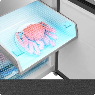 TCL P409BF Refrigerator 25L Bigger Freeze Zone