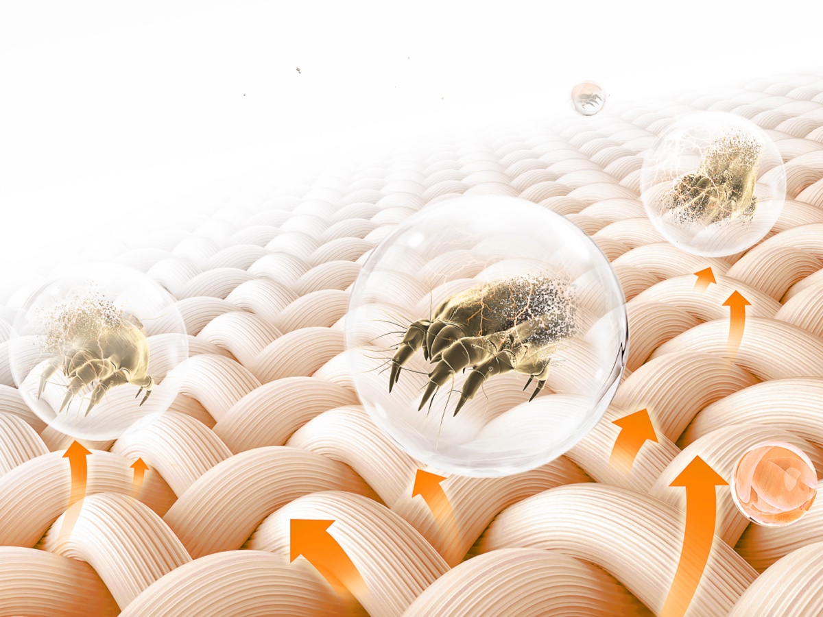 TCL P680 Washer Anti-mites Function