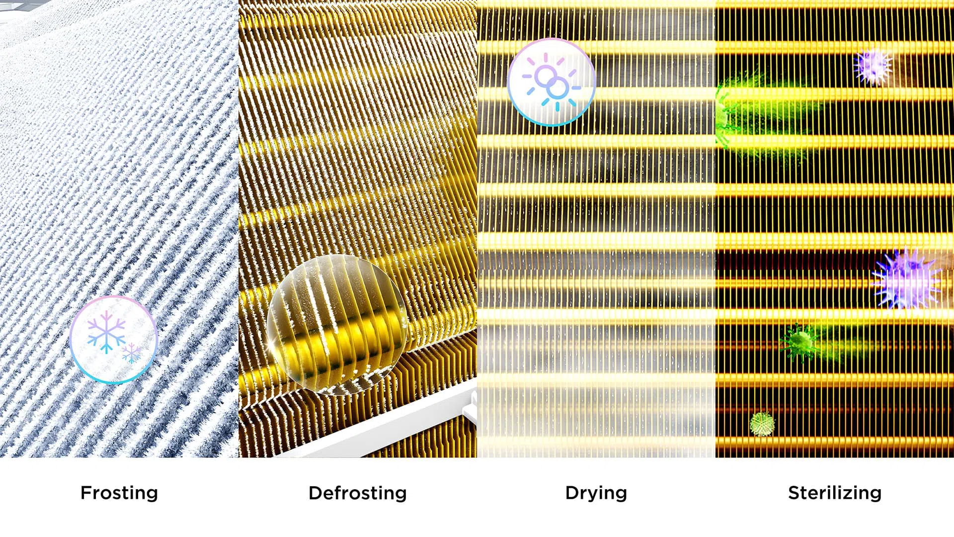 Deep Clean Gold 1123.jpg?t=1700725724852&w=1200&webp=true&dpr=1