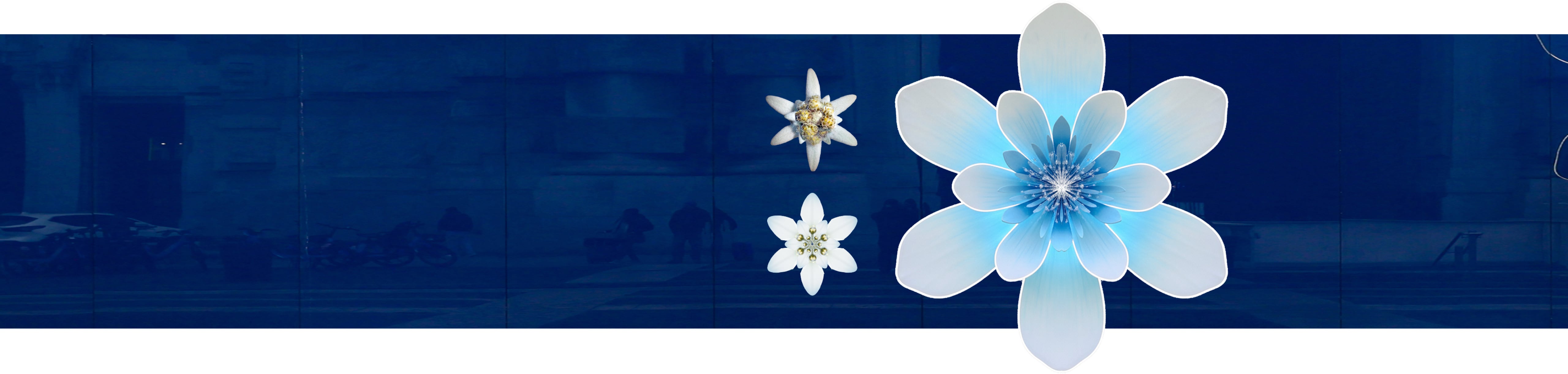 background-image