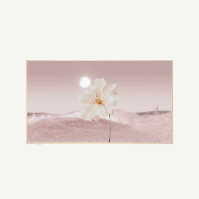 LETOU - ��Ͷ A300W TV