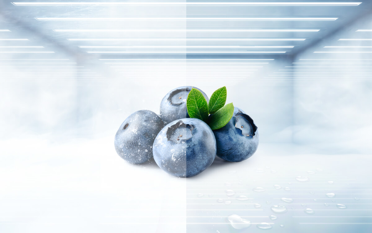 TCL Free Built-in Series Embracing Advanced Cooling and Convenience