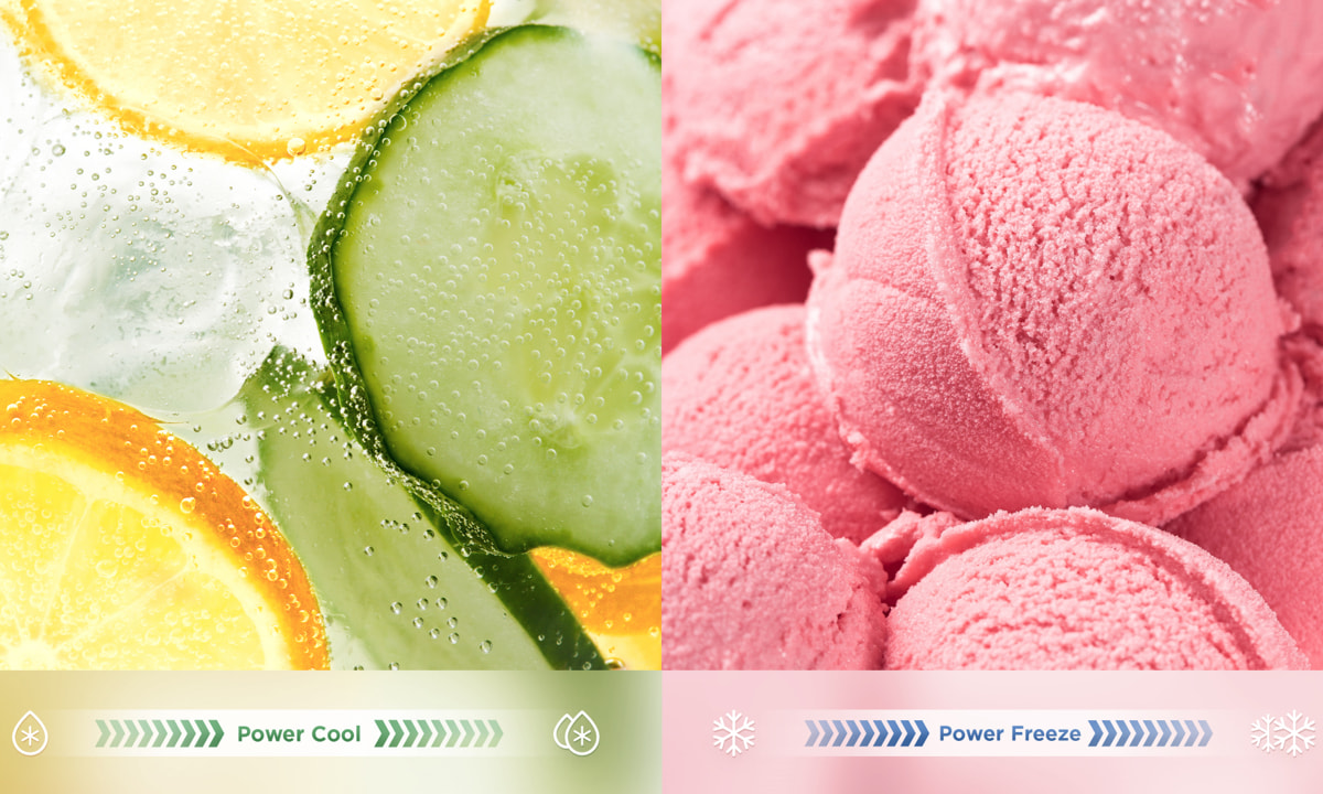 TCL Free Built-in Refrigerator C521CD Power Cool & Freeze