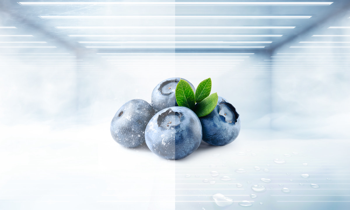 TCL Refrigerator Total No Frost