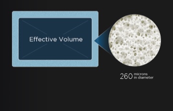 Conventional refrigerator