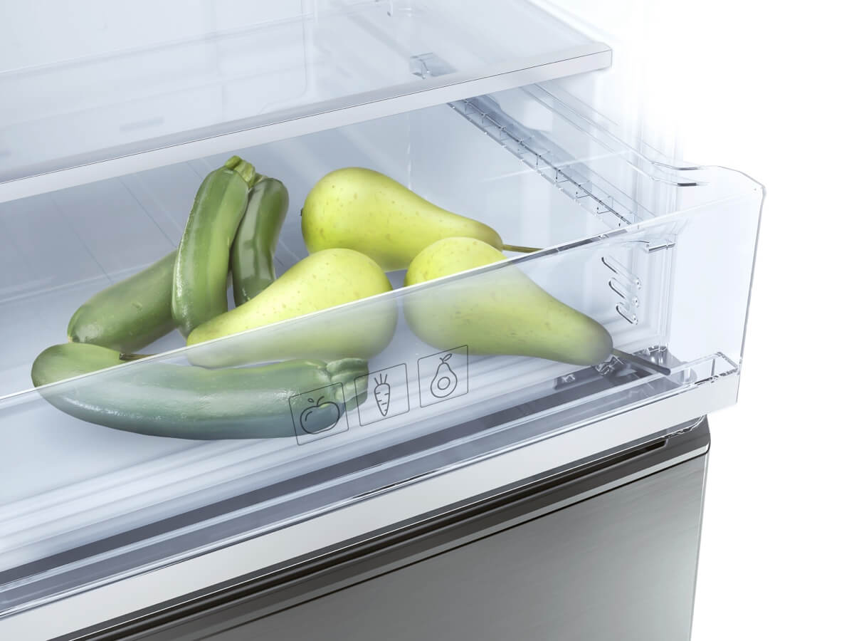 TCL Refrigerator P315BFBottom Mount FreezerTCL Global