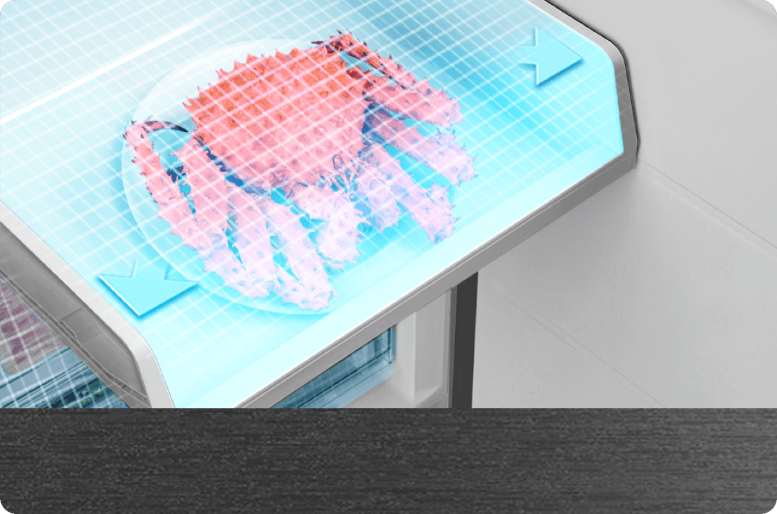 TCL Refrigerator P350BF XL Freeze Zone