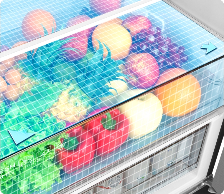TCL Refrigerator P350BF Big Fresh Drawers