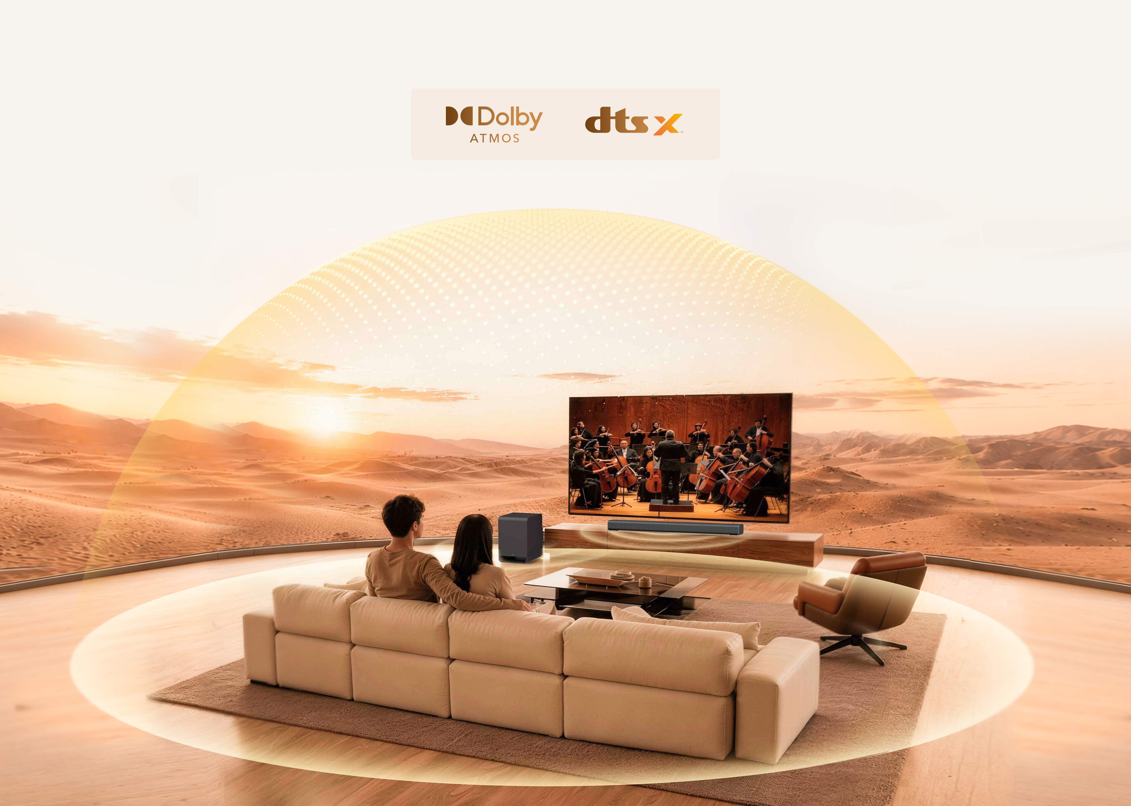 TCL Z100 Tailored acoustic structure