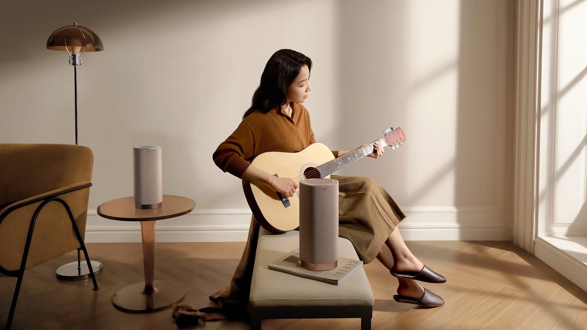 TCL Z100 Scene diagram