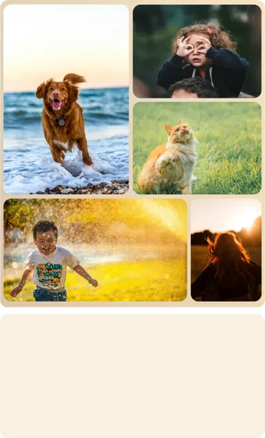 A300W NXTFRAME TV Customized Carousel