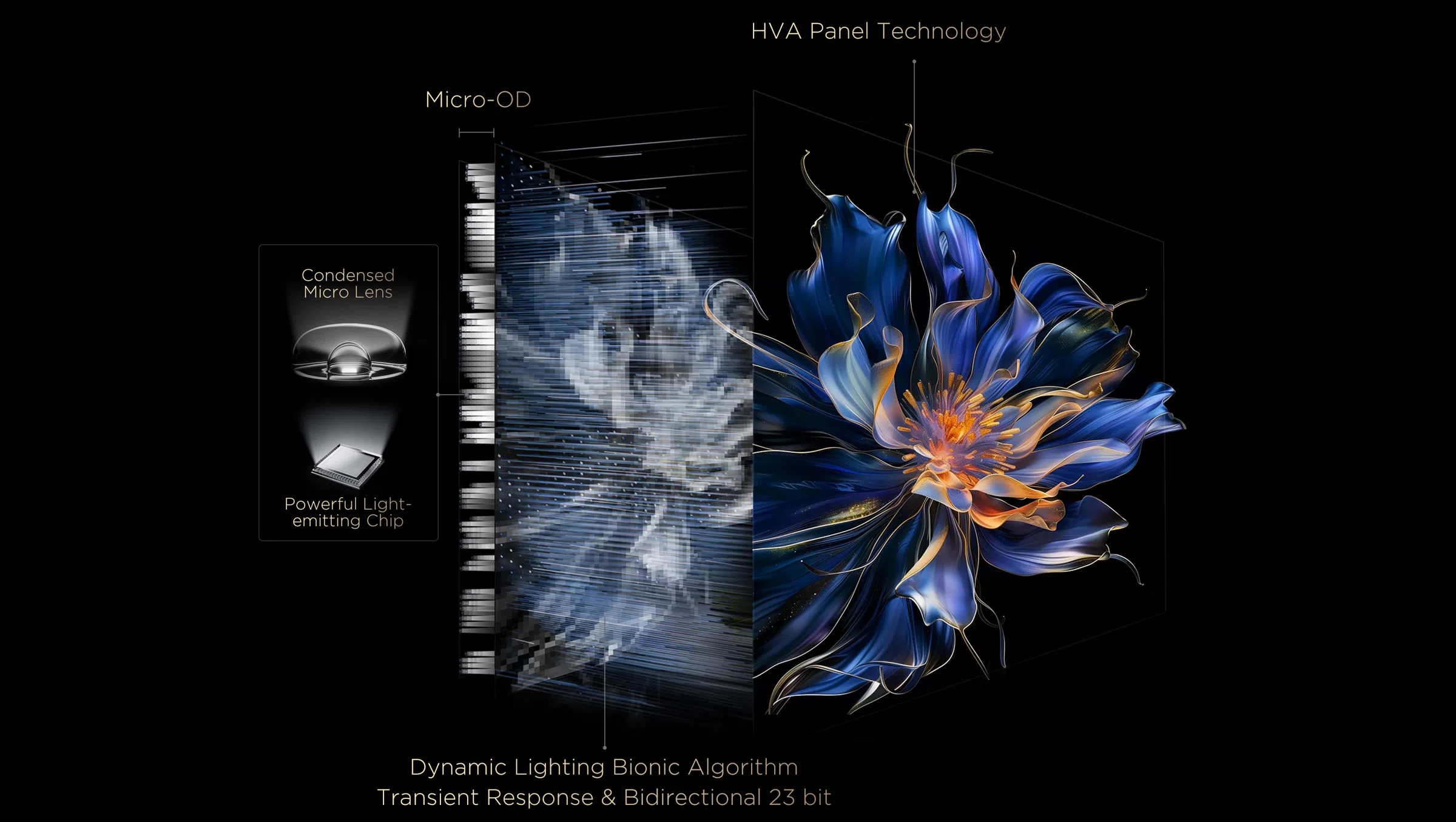 TCL All-domain Halo Control Technology טלוויזיה חכמה C61K Premium QD-MiniLED מבית TCL