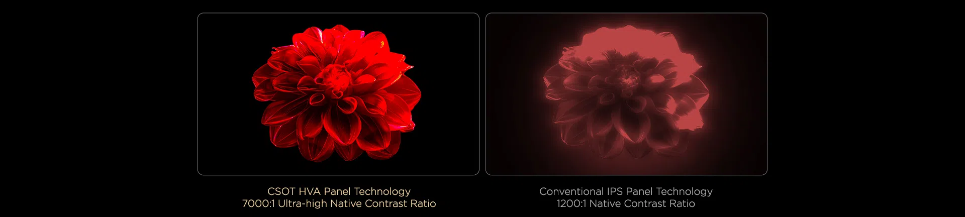 Up to 7000:1* ultra-high native contrast ratio