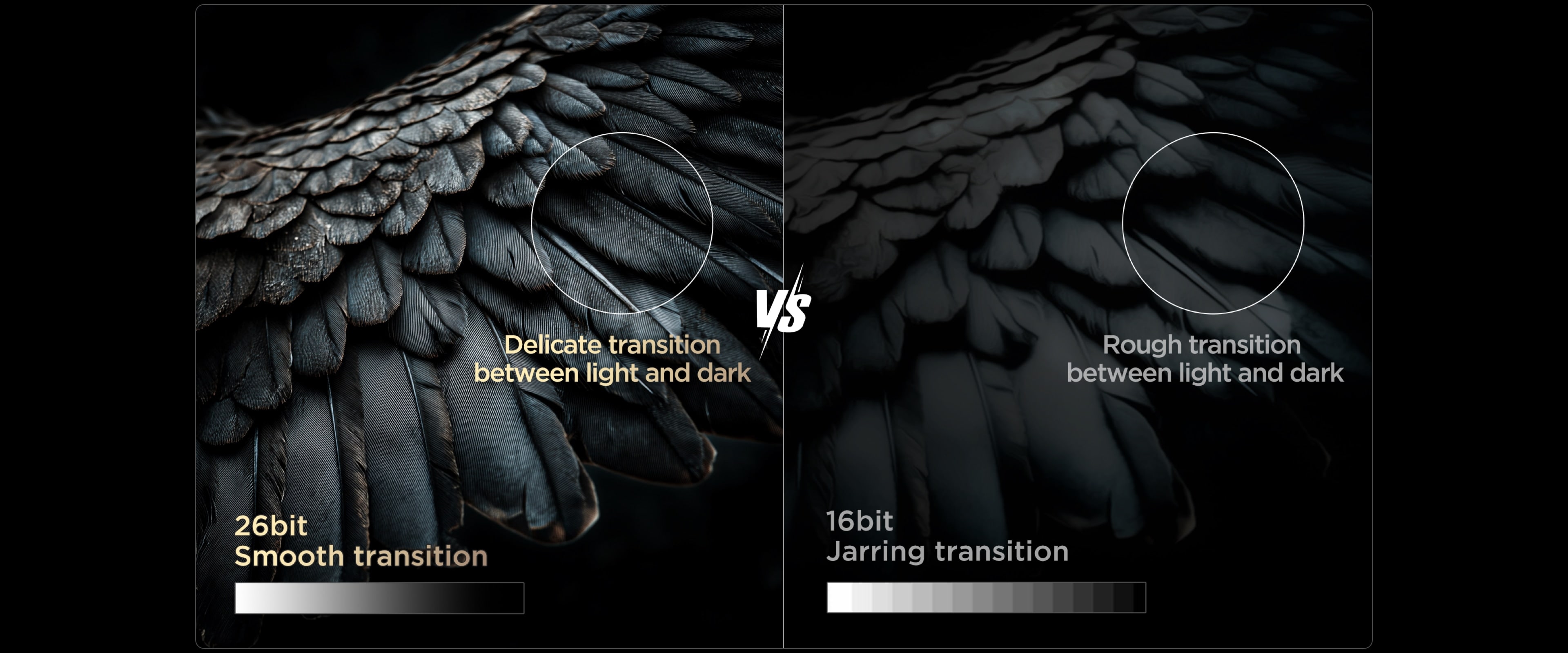 C8L 26bit Dynamic Dimming