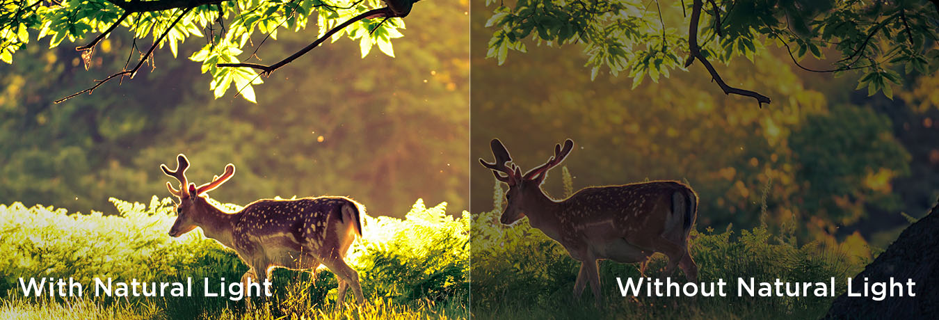 natural light optimization & without natural light optimization