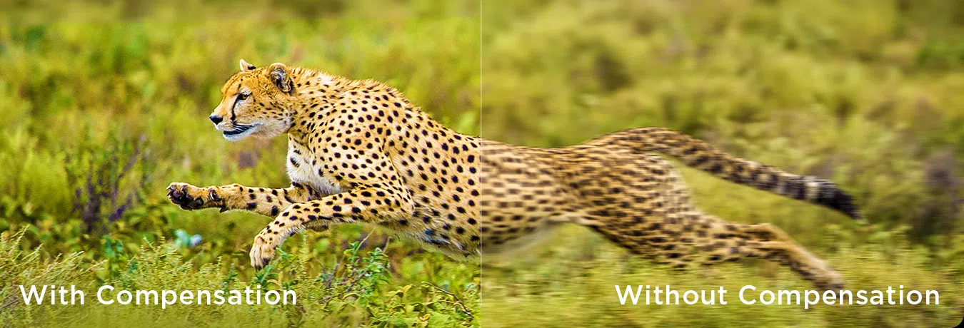 Компенсация движения против без компенсации