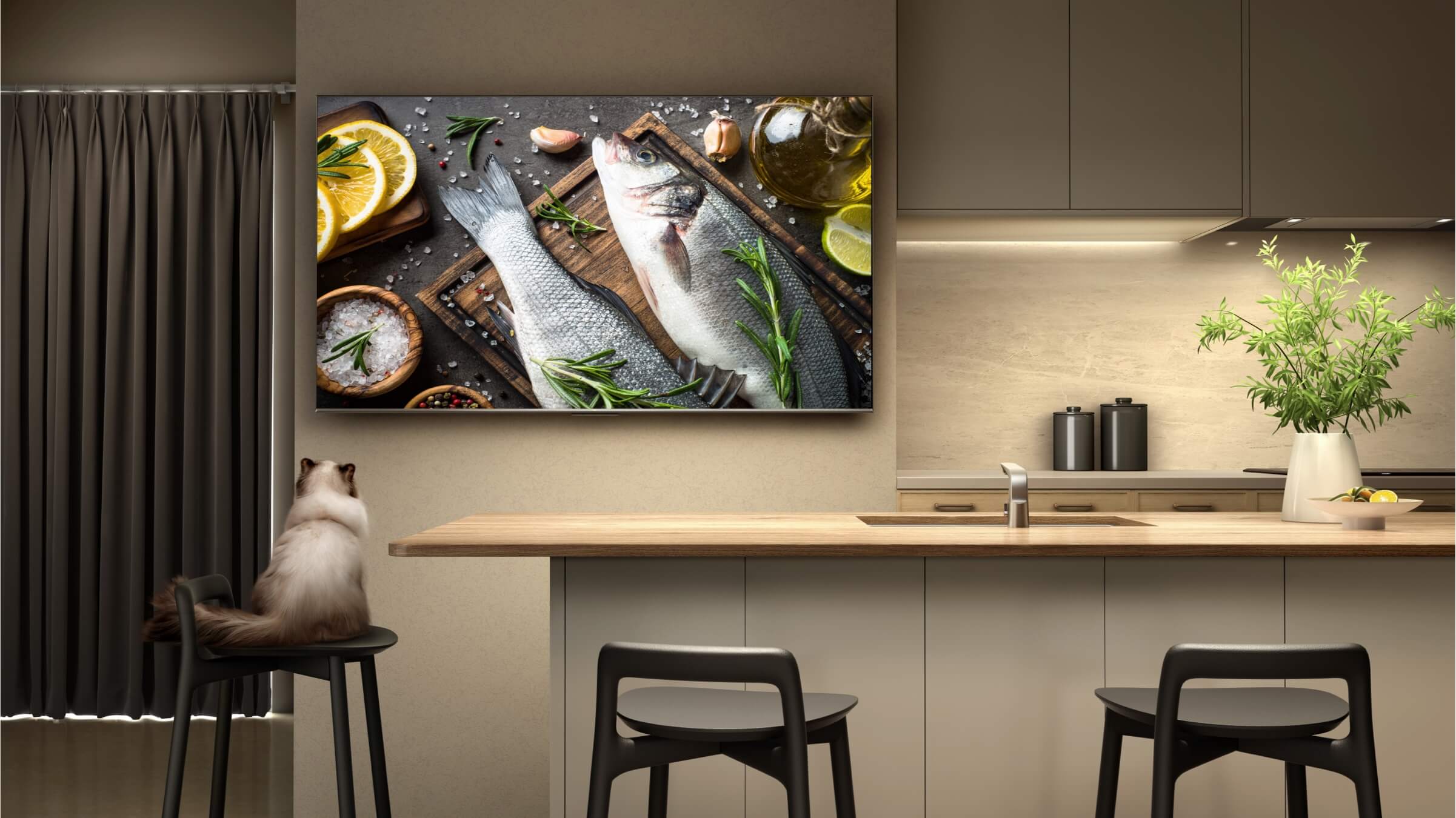 TCL TV feature