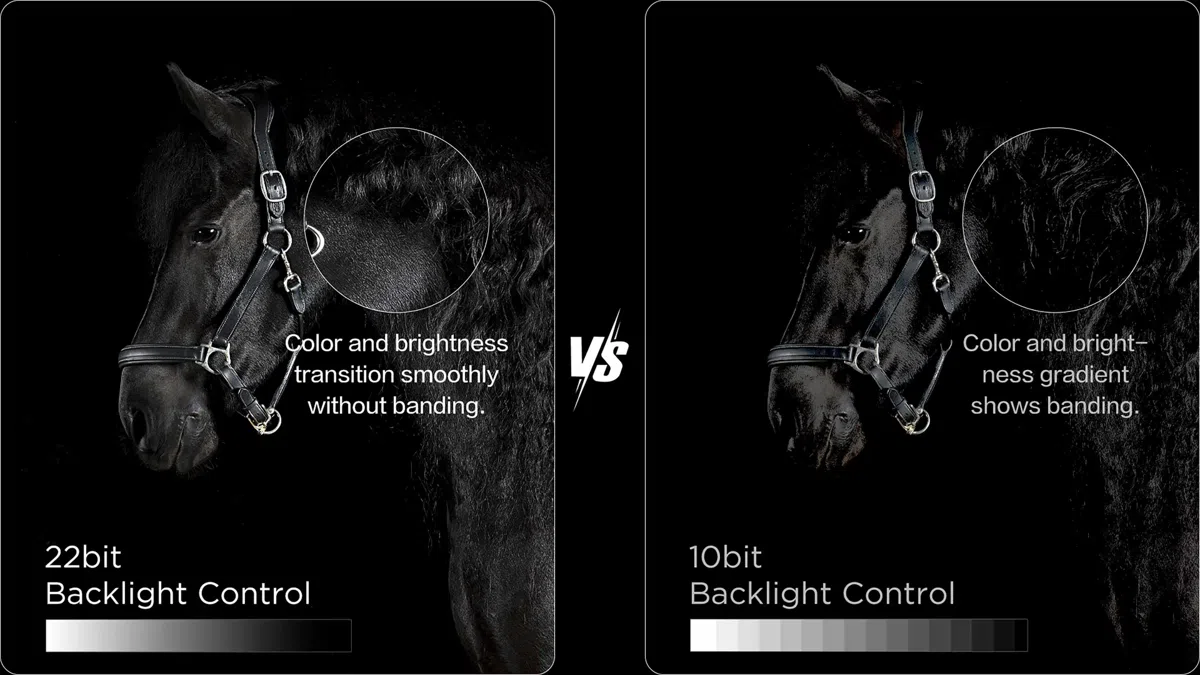 22bit Backlight Control