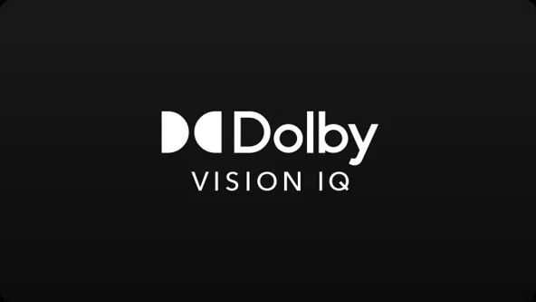dolby vision iq 1