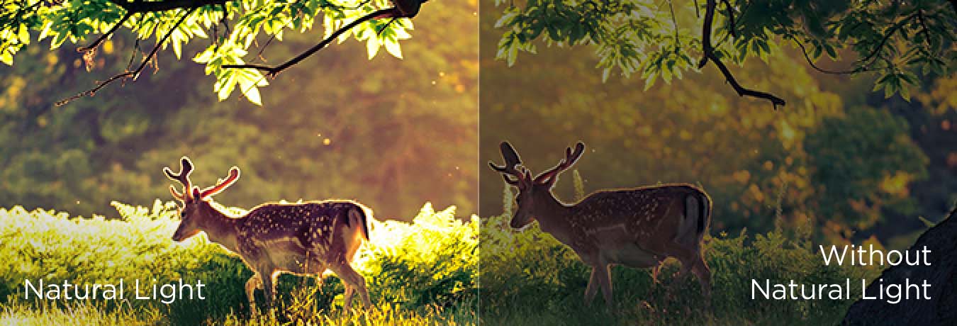 Multiple Eye Care - адаптивный окружающий свет