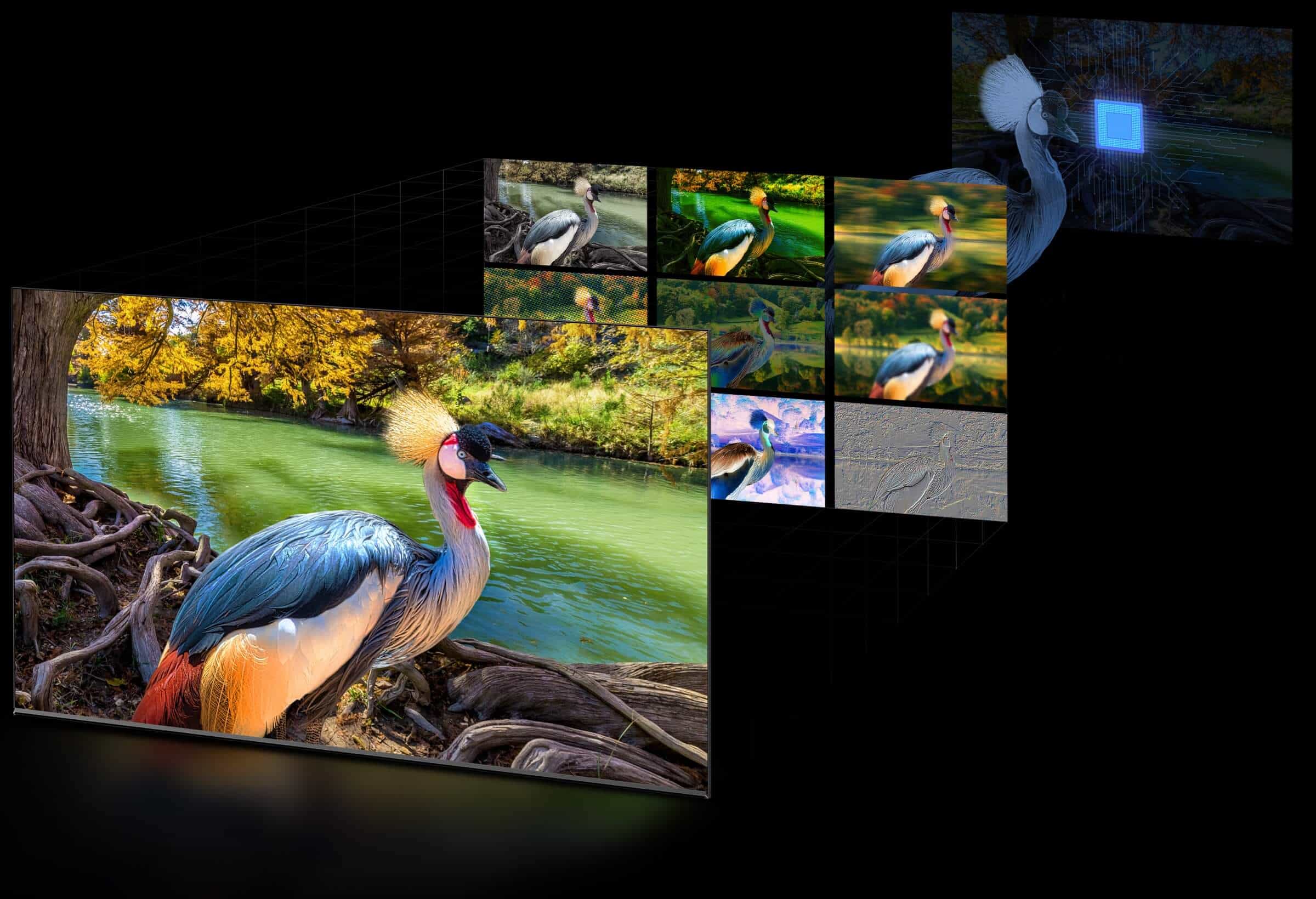 TCL C645 QLED TV con PROCESADOR AiPQ 3.0