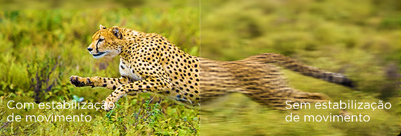 Multiple Eye Care-MEMC motion stabilization