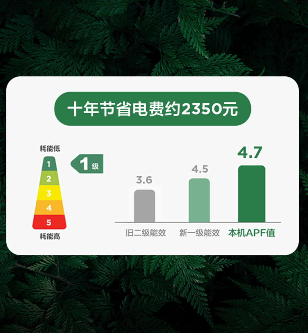 TCL2匹新风空调挂机小蓝翼