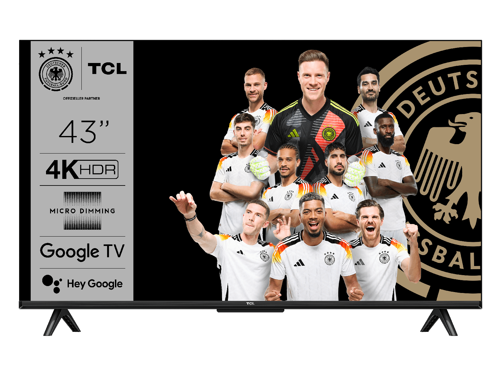 43V6B Picture 1