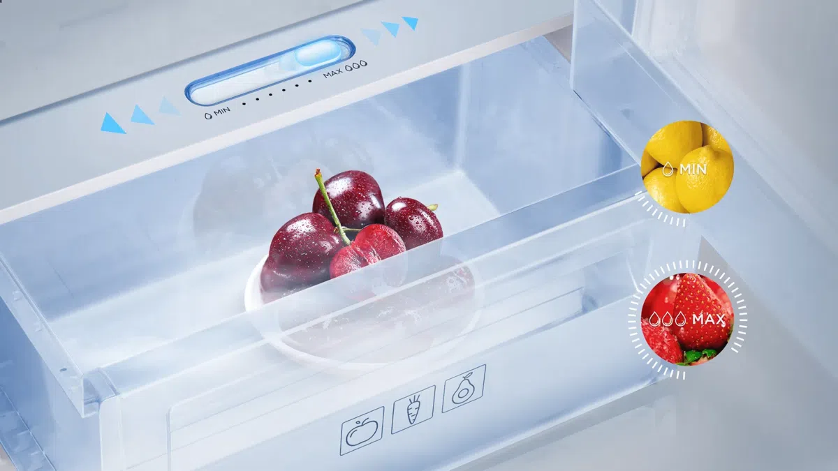 Buy TCL Top Mount Refrigerator