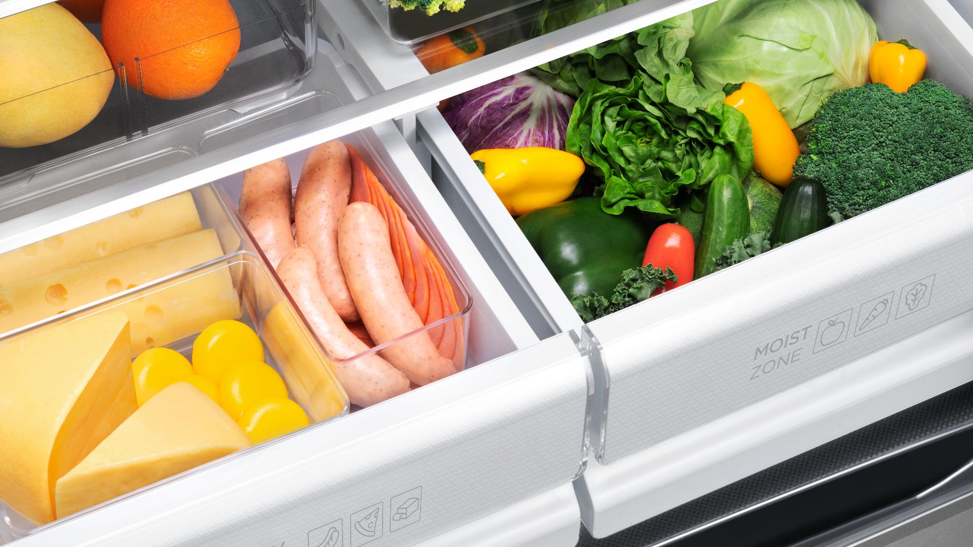 Dry Zone & Moist Zone