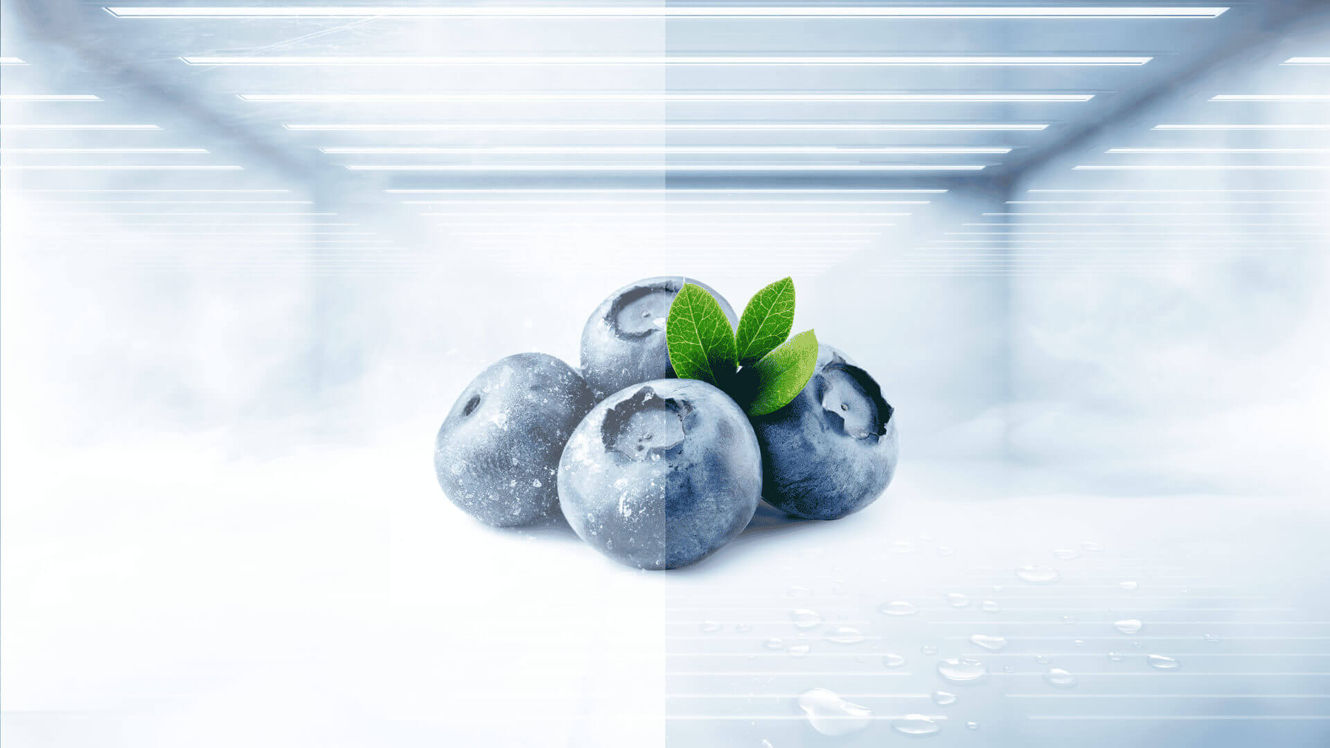 The TCL fridge's temperature is more uniform in the refrigerator