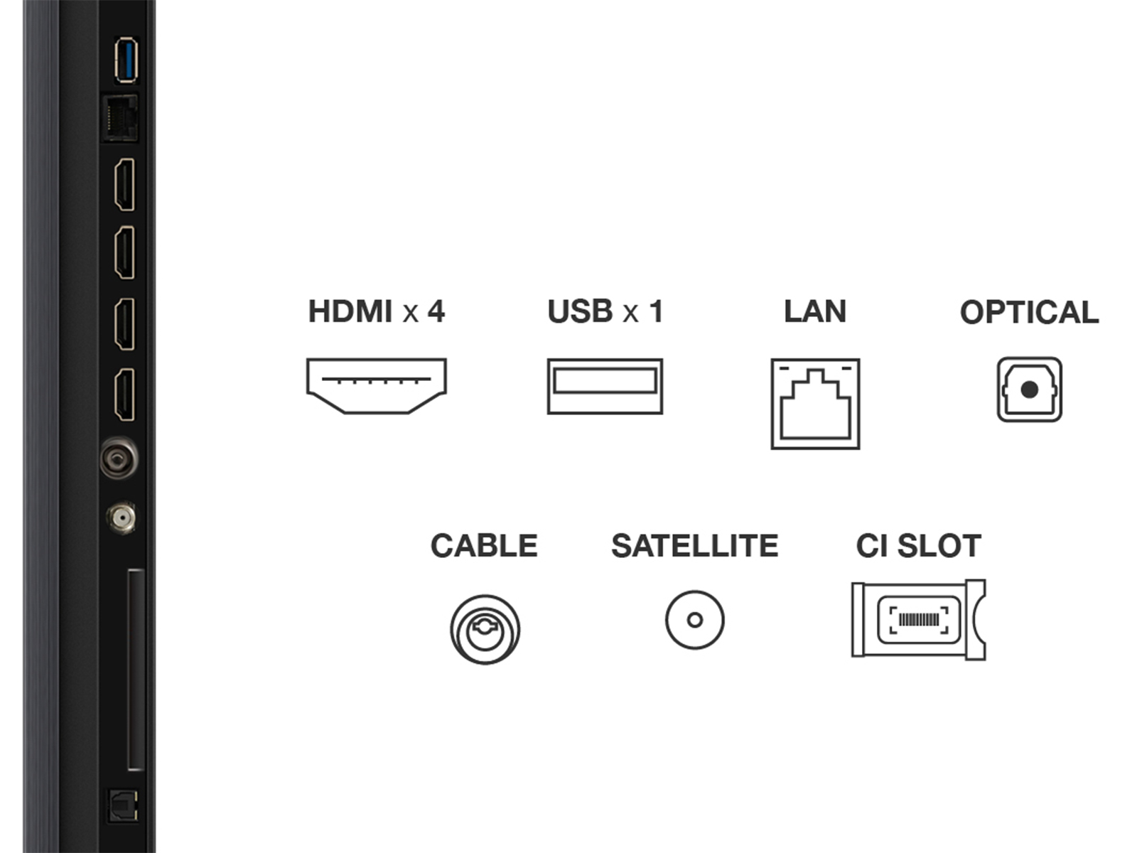 98Q6C Picture 11