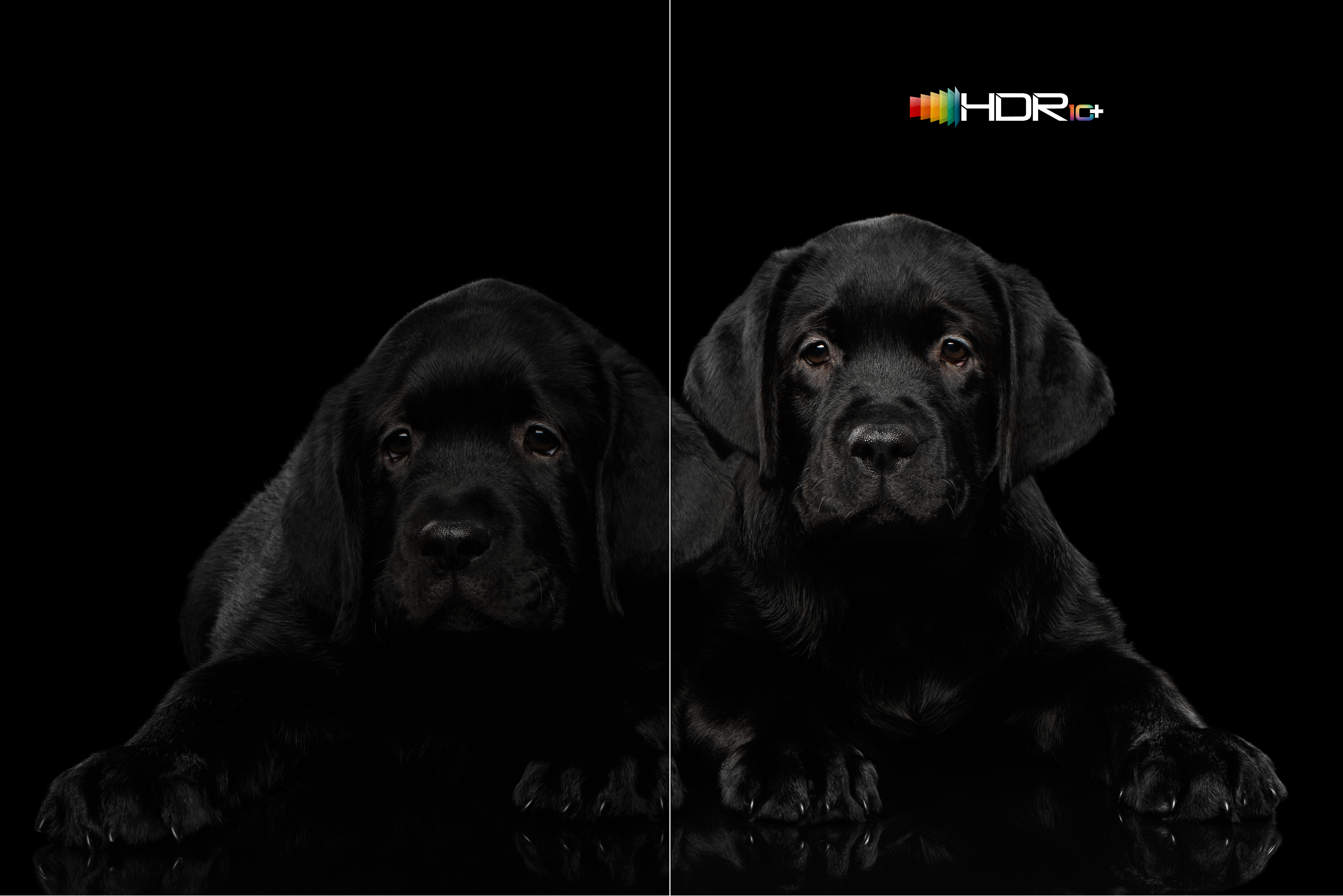 TCL tv 55CF630 screen display