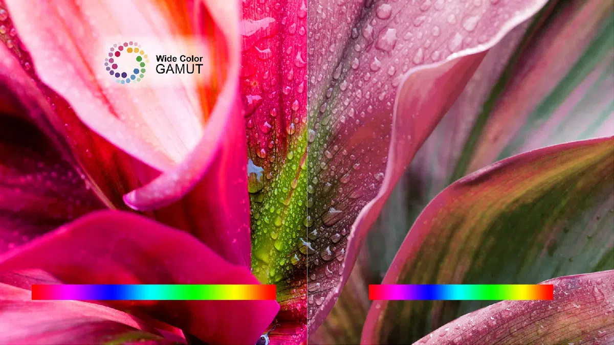 wcg 2024.jpg?t=1718185776456&w=600&webp=true&dpr=1 TCL 85 Inch UHD 4K Smart Android TV (85V6B) Wide Colour Gamut