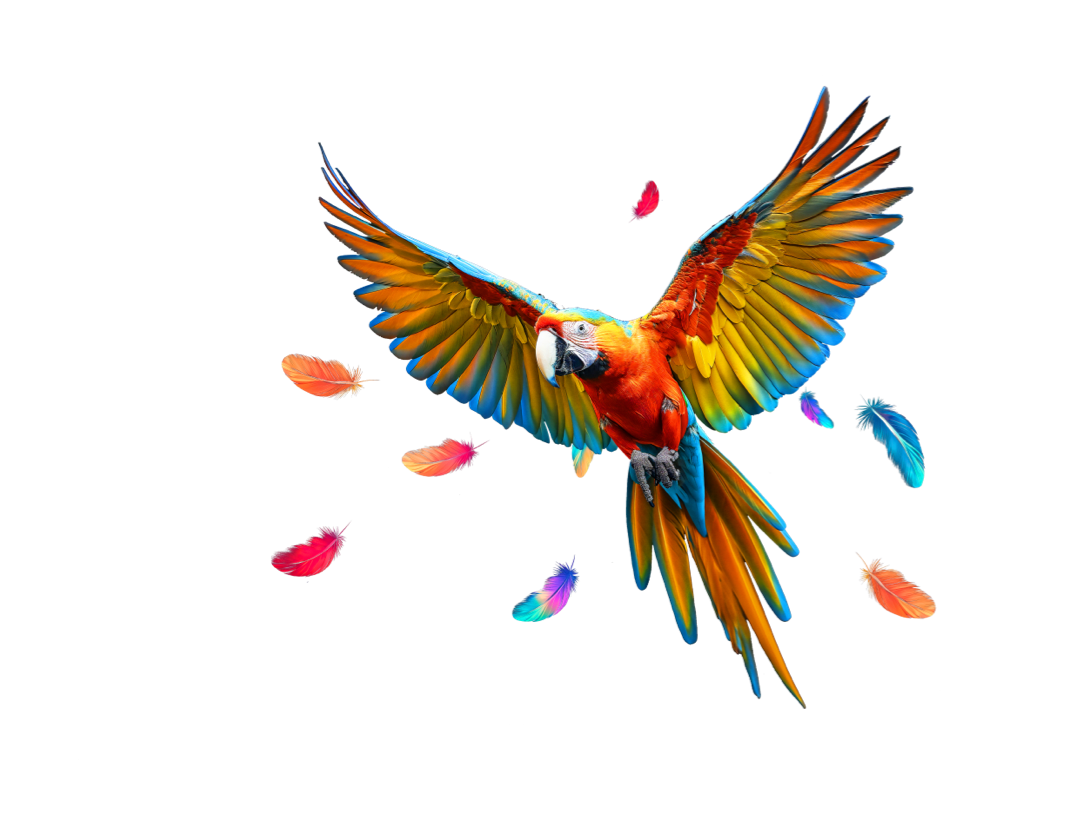 Parrot Flying