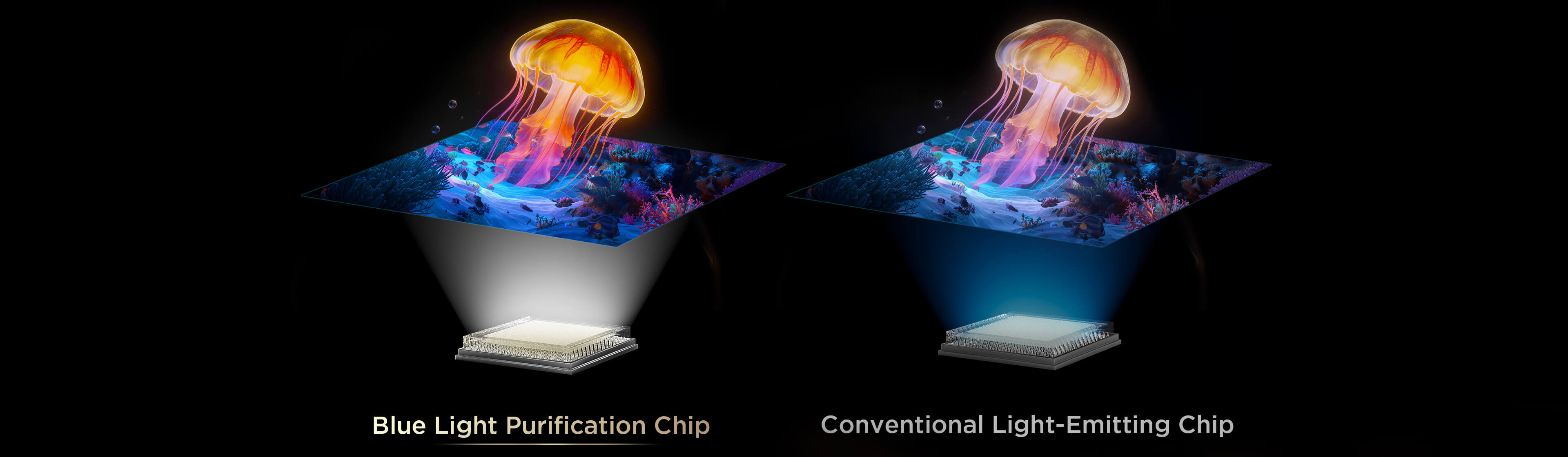 Blue Light Purification Chip