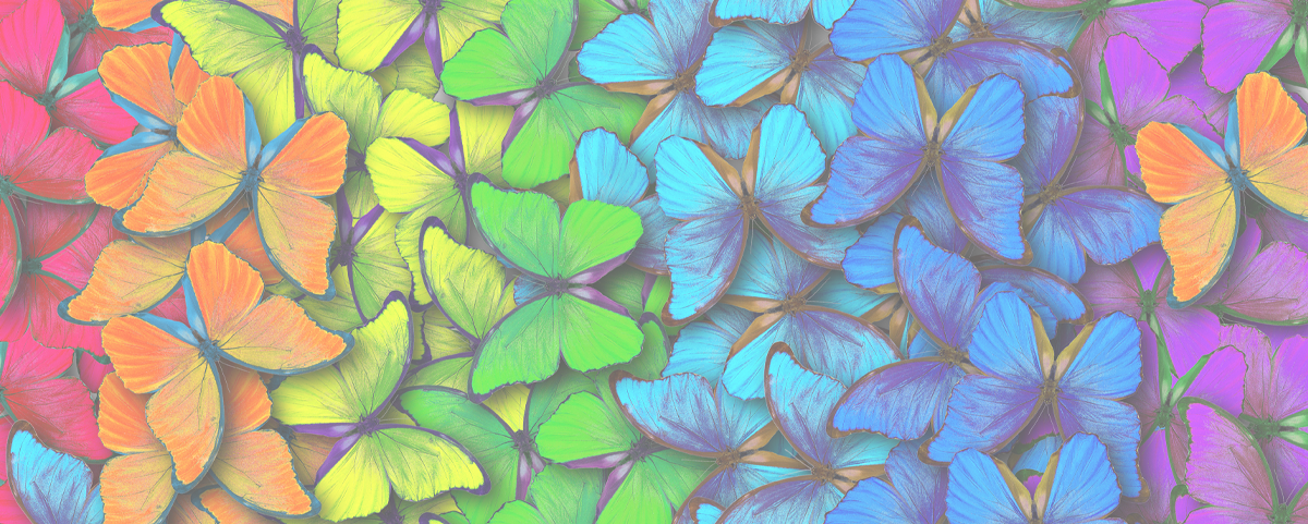 TCL c636 Wide Color GAMUT Bedore