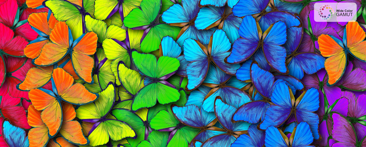 TCL c636 Wide Color GAMUT