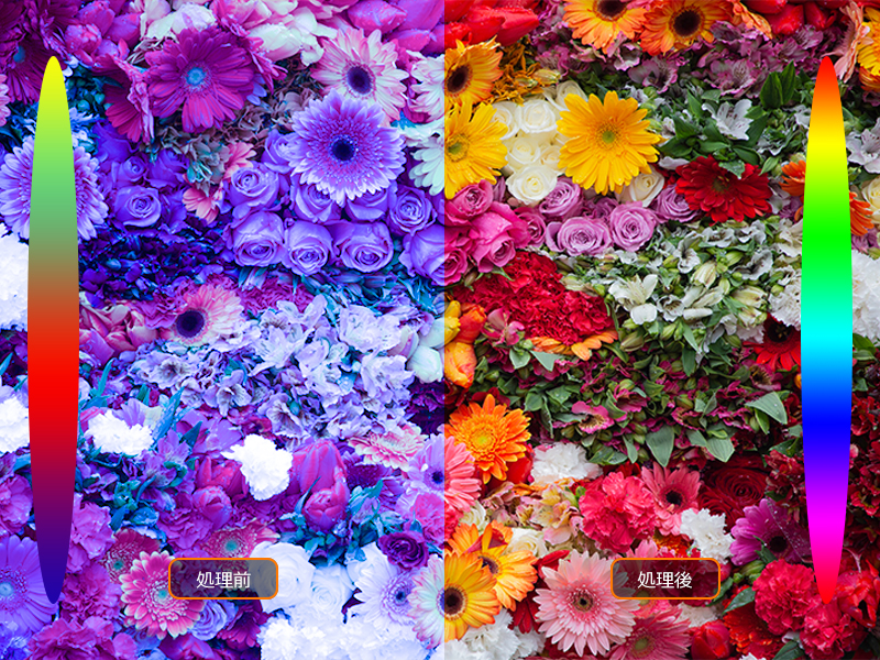 TCL c636 精密なカラーマネジメント