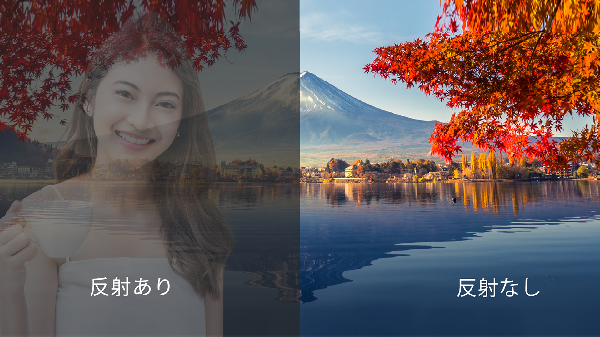 TCL C825 低反射パネル採用