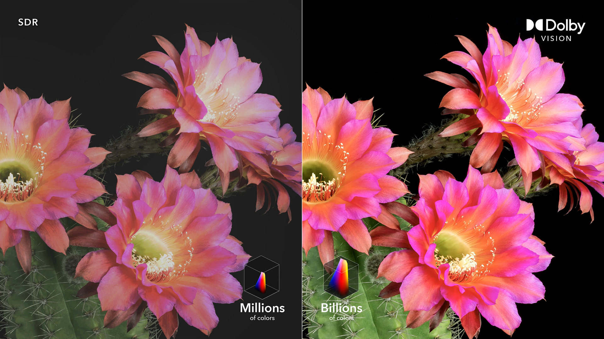 TCL p618 Dolby Vision/HDR10/HLG対応