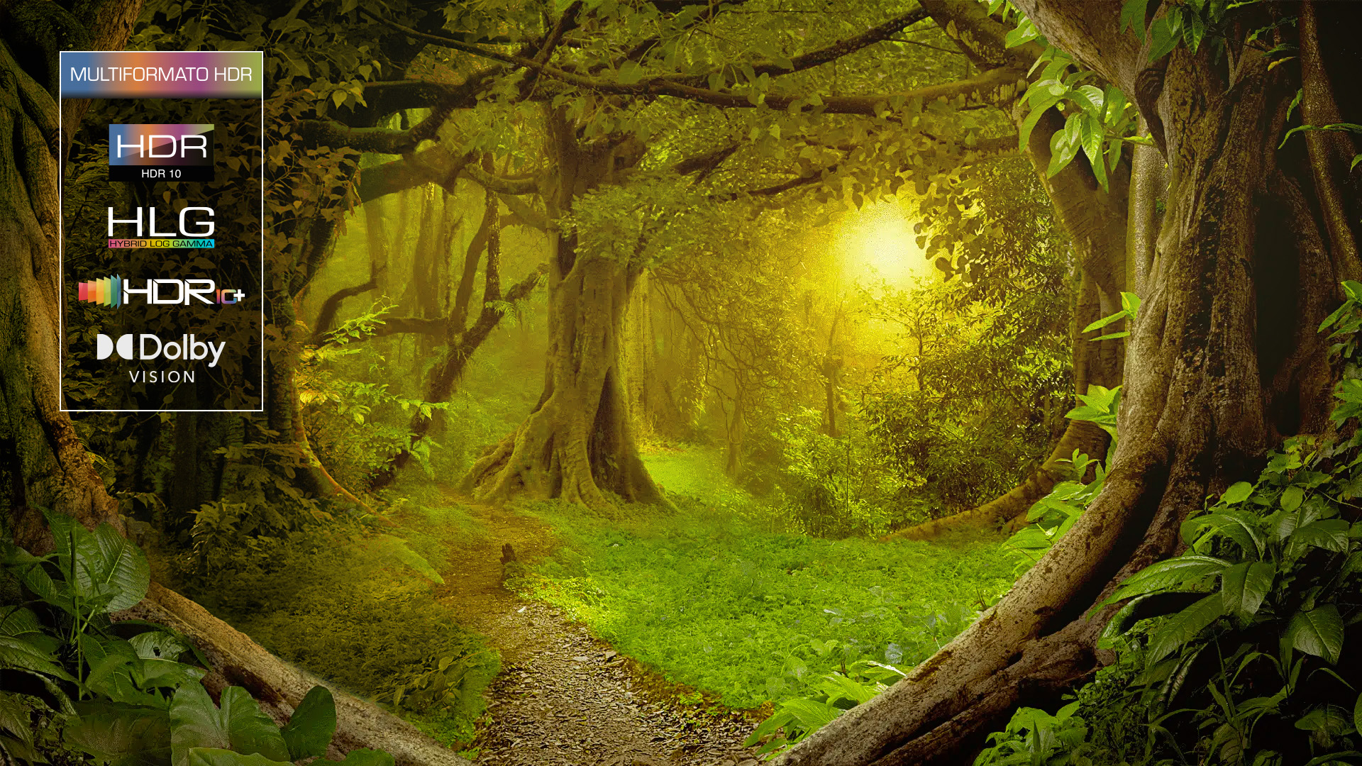 Impresionante HDR  desde cualquier ángulo 