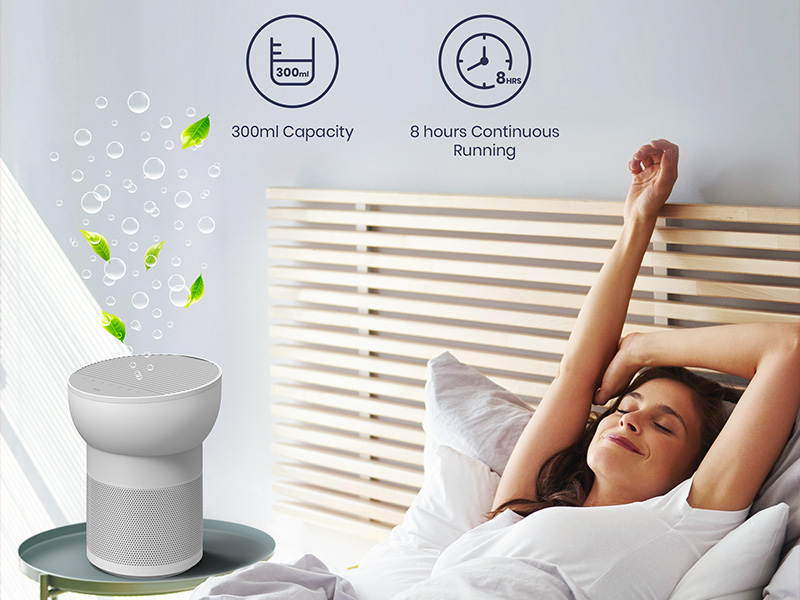 2-in-1: Air Purification and Air Humidification