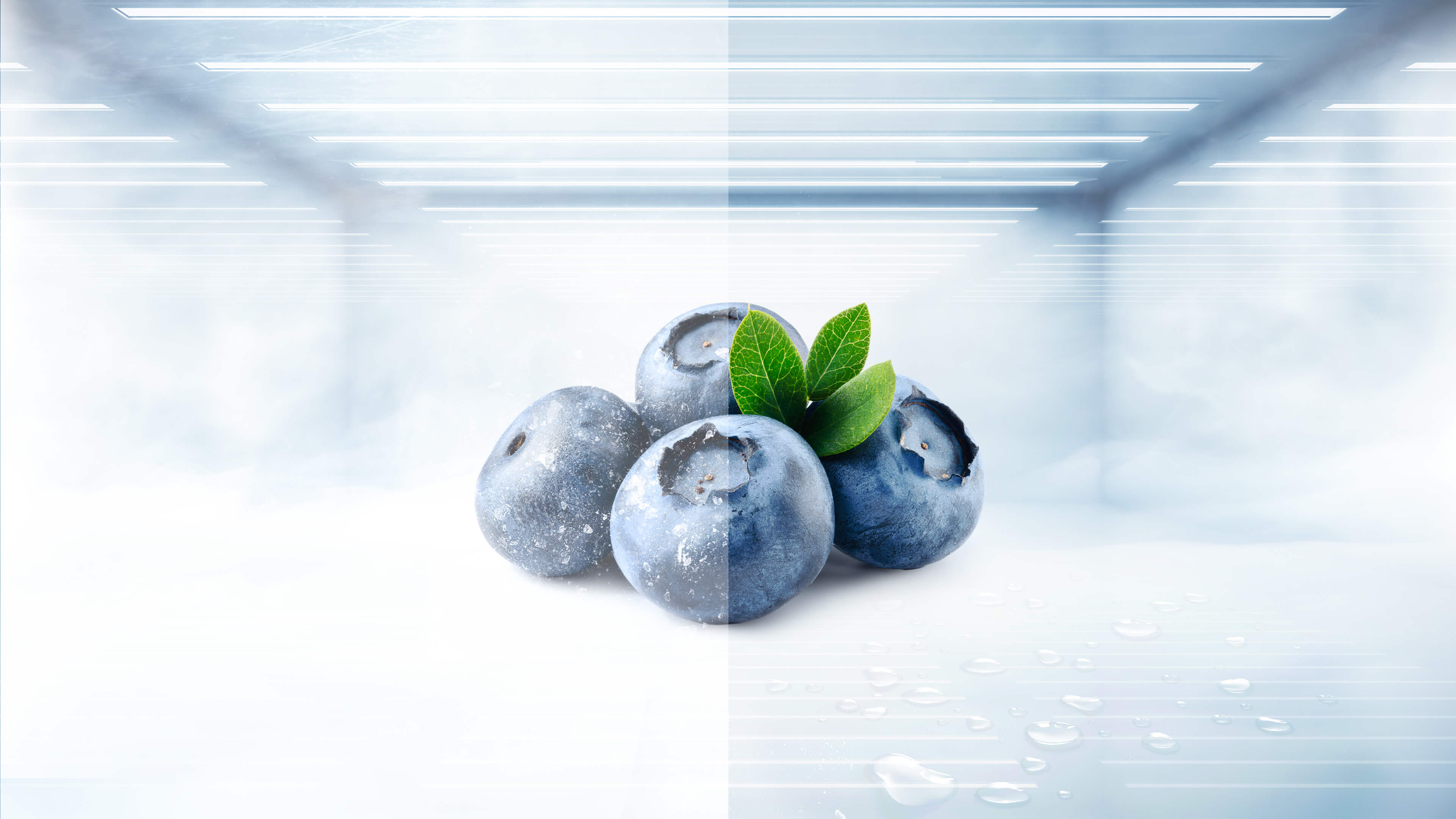 LETOU - ��Ͷ P650SB Total No Frost