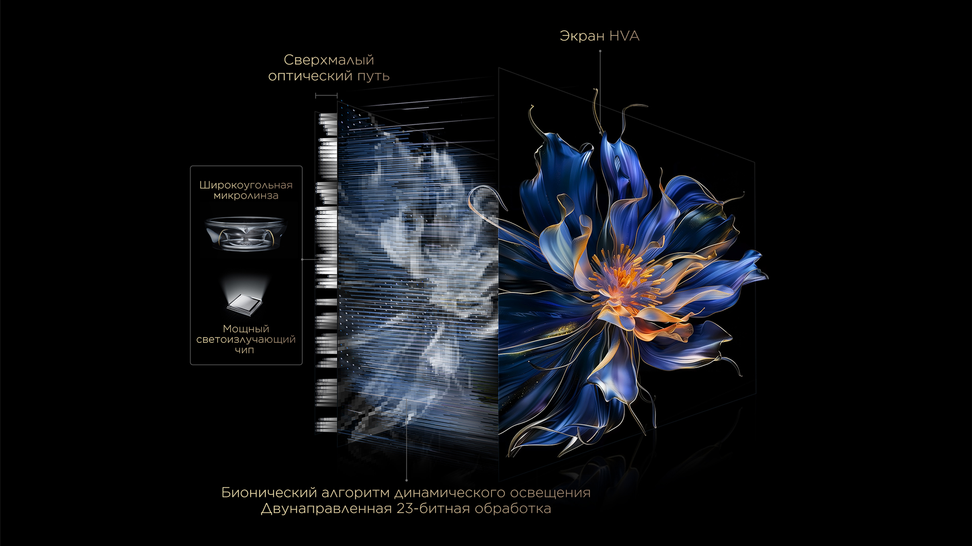 TCL All-domain Halo Control Technology