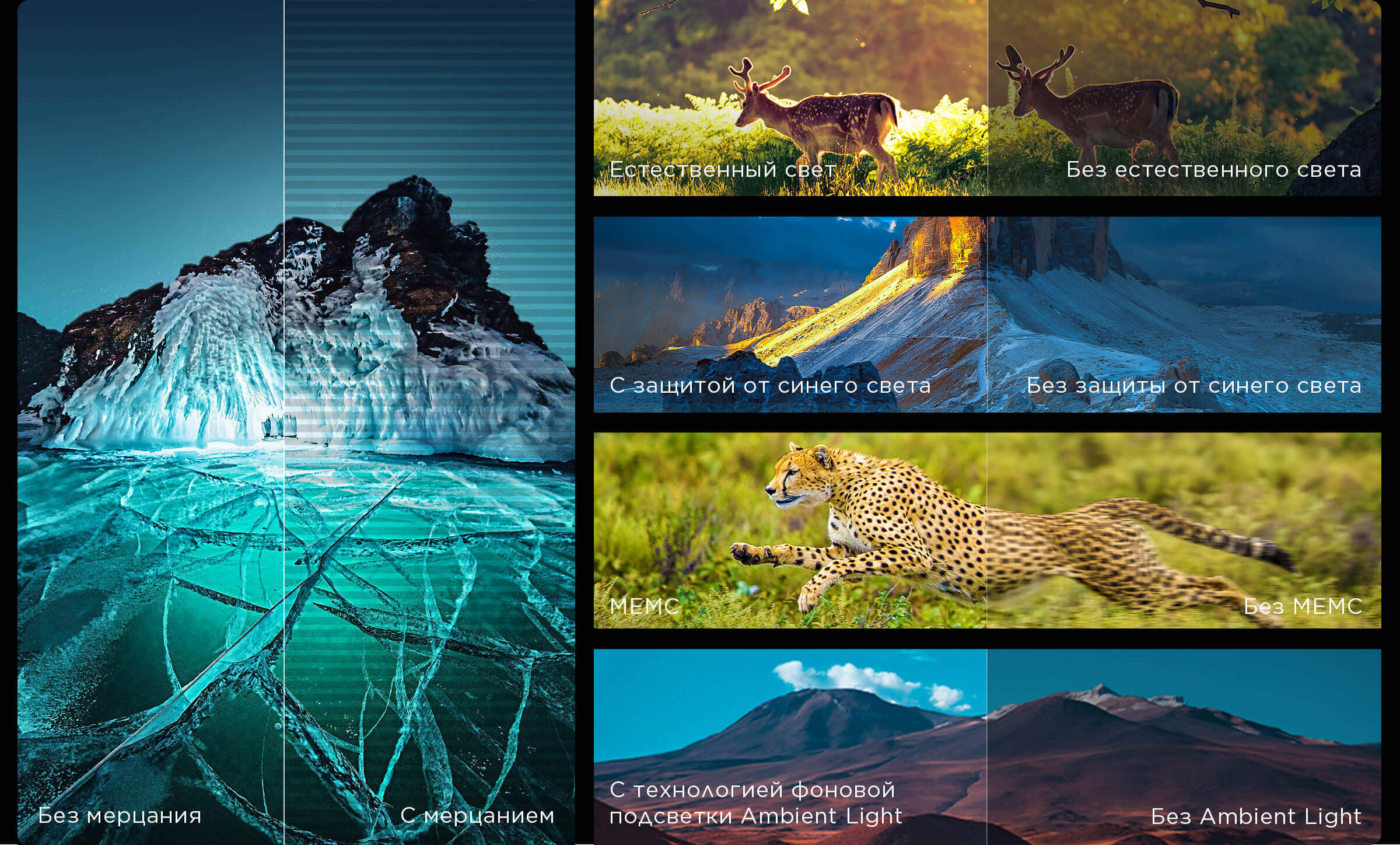 Authoritative picture quality certification