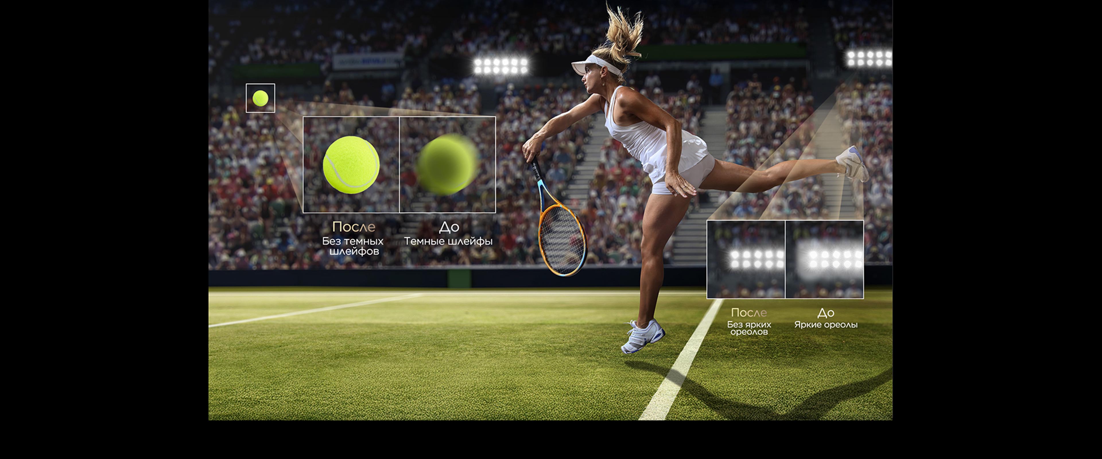 X11L Transient Response Enhanced Motion Clarity