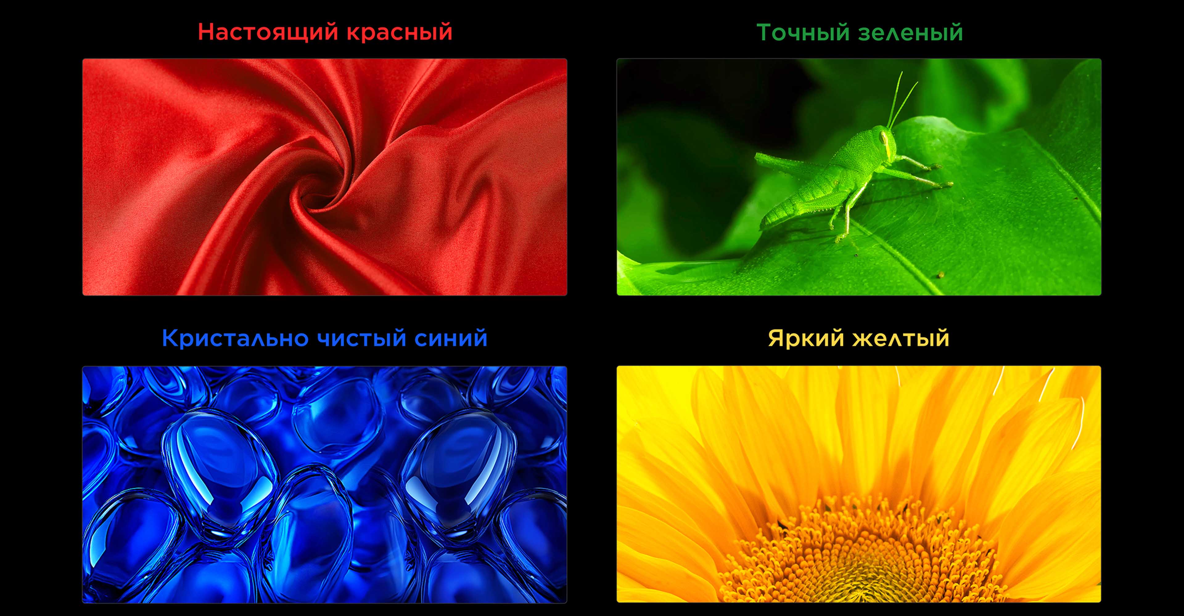 TCL SQD-Mini LED TV All Scenes Wide Color Gamut