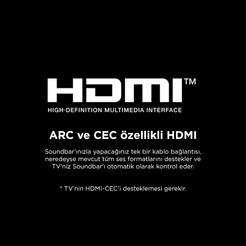 HDMI